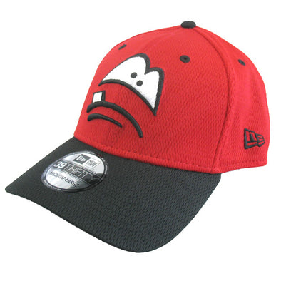 Vintage The Minor Leagues Plain Logo Lansing Lugnuts Snapback Hat MLB